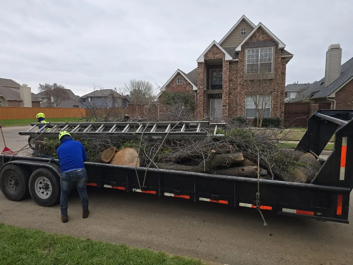 Expert Tree Removal with proper safety equipment in Adamsville